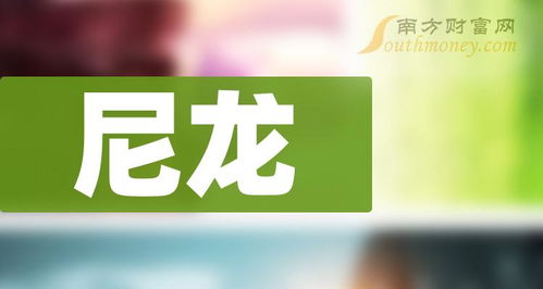 尼龍行業龍頭自貢企業，2024年3月8日網站解析